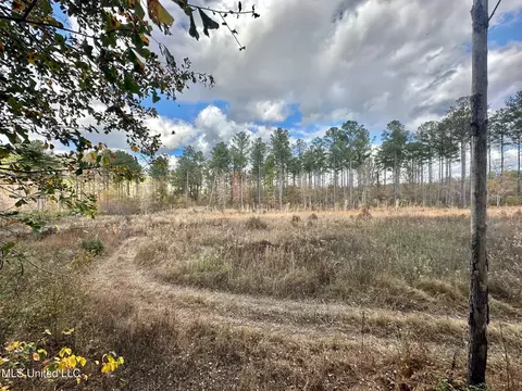 1 Truitt Rd, Pickens, MS 39146 photo 11