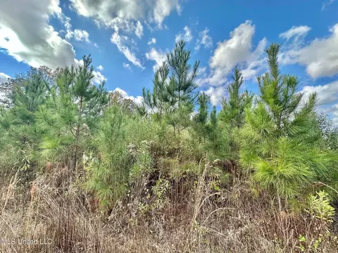 1 Truitt Rd, Pickens, MS 39146 photo 16