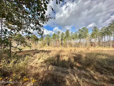 1 Truitt Rd, Pickens, MS 39146 photo 12