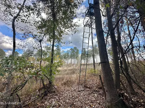 1 Truitt Rd, Pickens, MS 39146 photo 10