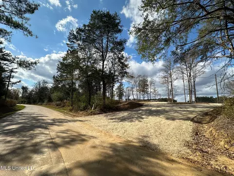 1 Truitt Rd, Pickens, MS 39146 photo 23
