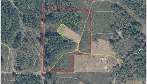 1 Truitt Rd, Pickens, MS 39146 photo 32