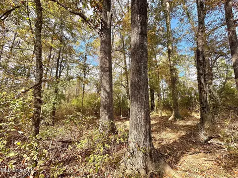 1 Truitt Rd, Pickens, MS 39146 photo 7