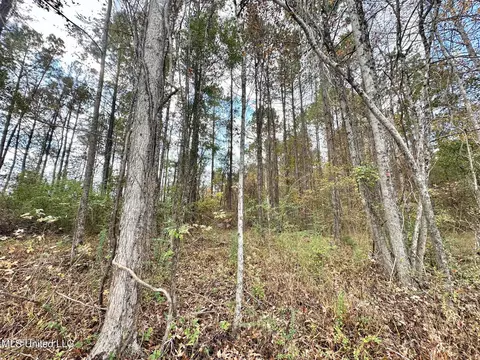1 Truitt Rd, Pickens, MS 39146 photo 5