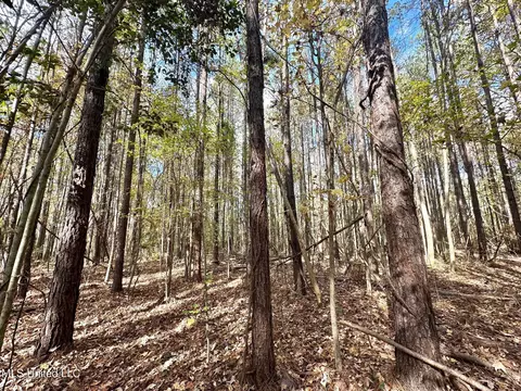 1 Truitt Rd, Pickens, MS 39146 photo 14