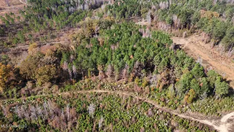 1 Truitt Rd, Pickens, MS 39146 photo 19