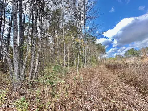1 Truitt Rd, Pickens, MS 39146 photo 6