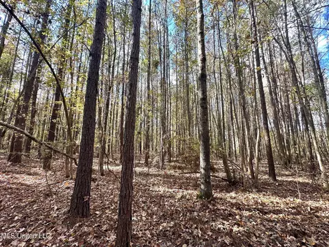 1 Truitt Rd, Pickens, MS 39146 photo 13