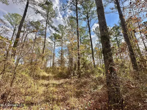 1 Truitt Rd, Pickens, MS 39146 photo 8