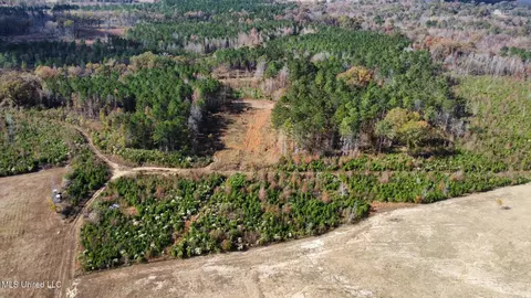 1 Truitt Rd, Pickens, MS 39146 photo 21