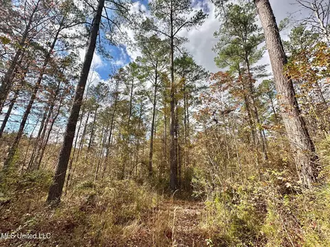 1 Truitt Rd, Pickens, MS 39146 photo 9