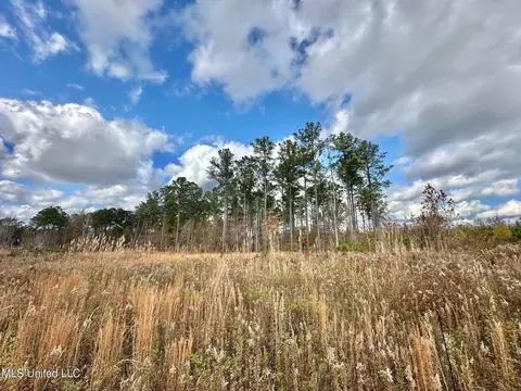 1 Truitt Rd, Pickens, MS 39146 photo 4
