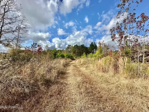 1 Truitt Rd, Pickens, MS 39146 photo 2