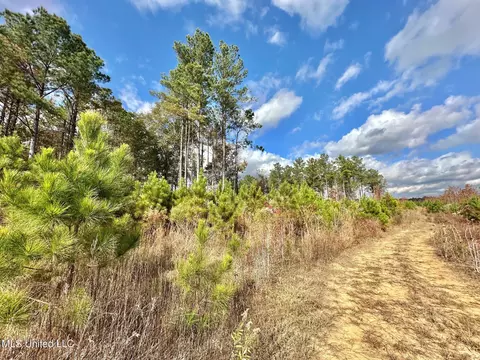 1 Truitt Rd, Pickens, MS 39146 photo 3