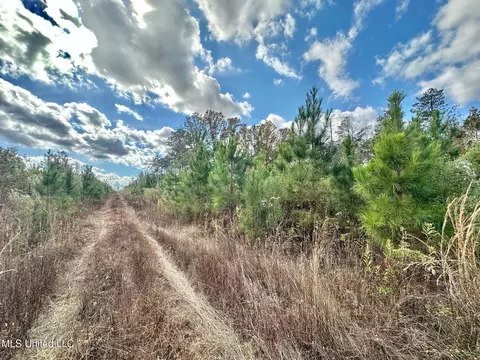 1 Truitt Rd, Pickens, MS 39146 photo 15