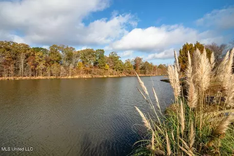 View/Area - 417 Westport Way, Flowood, MS 39232 photo 3 of 6