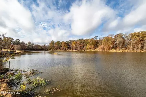 View/Area - 417 Westport Way, Flowood, MS 39232 photo 2 of 6
