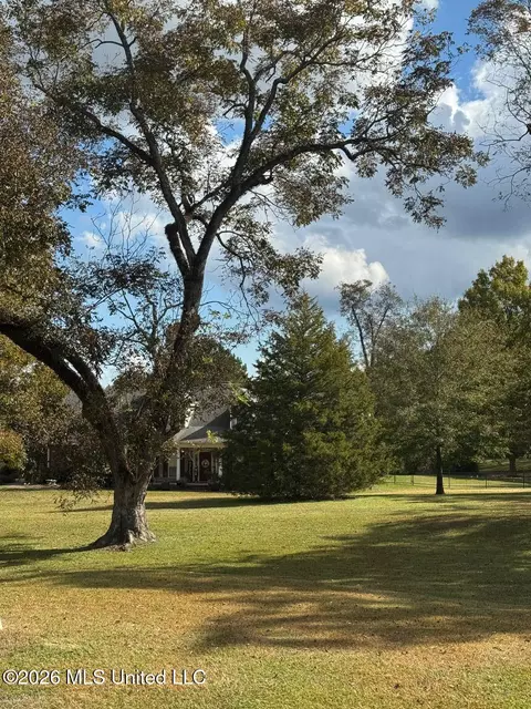 Exterior - 15384 S Highway 55, Terry, MS 39170 photo 6 of 19