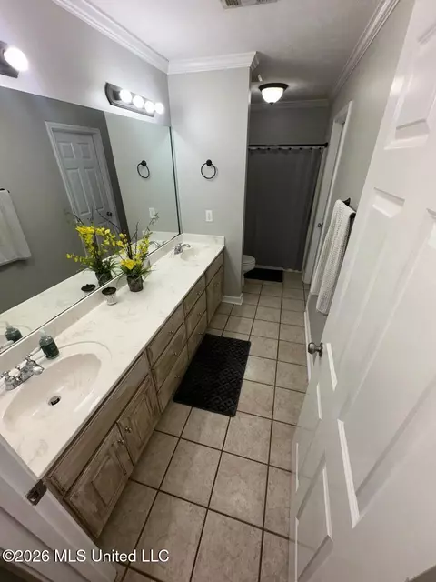 Bath - 15384 S Highway 55, Terry, MS 39170 photo 5 of 8