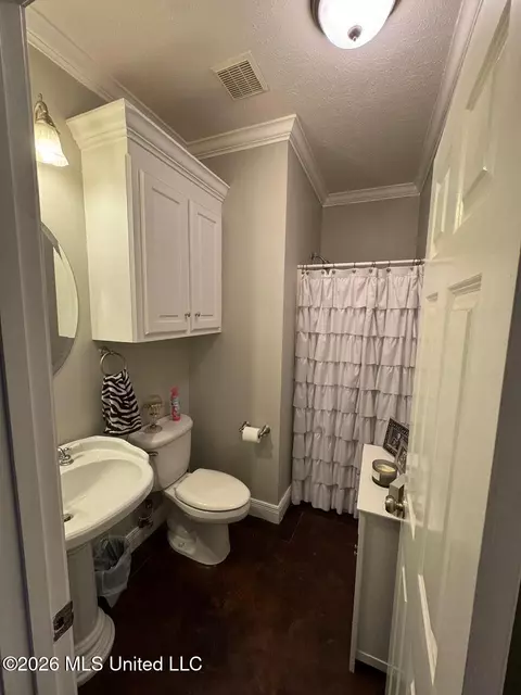 Bath - 15384 S Highway 55, Terry, MS 39170 photo 6 of 8
