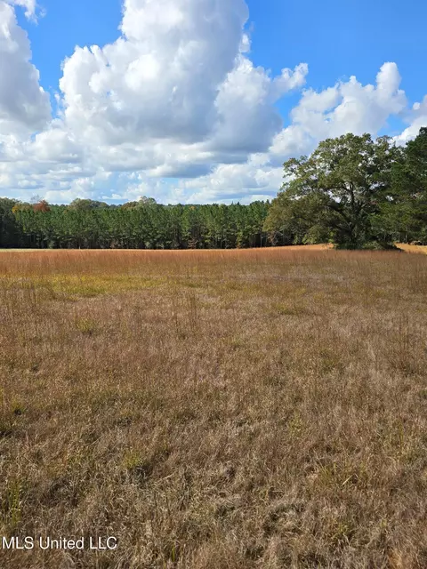 Hwy 13, Mendenhall, MS 39114 photo 25