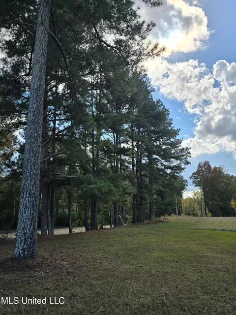 Hwy 13, Mendenhall, MS 39114 photo 26