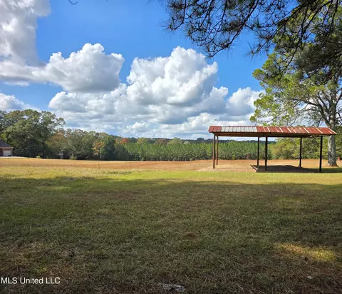 Hwy 13, Mendenhall, MS 39114 photo 7