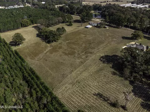 Hwy 13, Mendenhall, MS 39114 photo 10