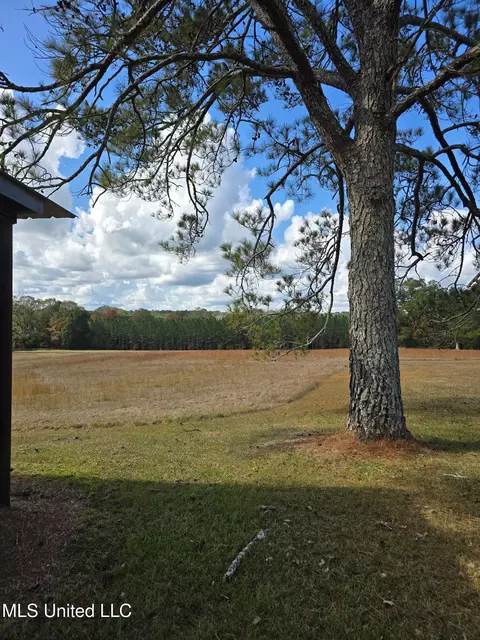 Hwy 13, Mendenhall, MS 39114 photo 4