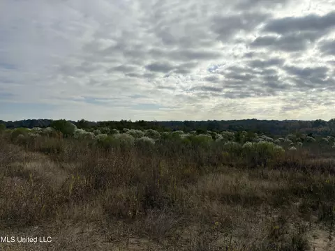 Us 49, Jackson, MS 39209 photo 12