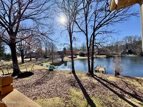 View/Area - 465 Augusta Dr, Hernando, MS 38632 photo 5 of 5