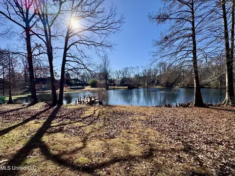 View/Area - 465 Augusta Dr, Hernando, MS 38632 photo 4 of 5