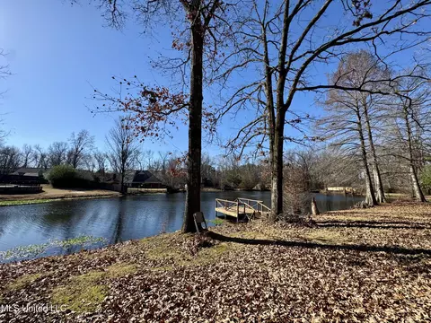 View/Area - 465 Augusta Dr, Hernando, MS 38632 photo 3 of 5