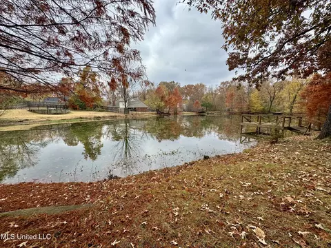 View/Area - 465 Augusta Dr, Hernando, MS 38632 photo 1 of 5