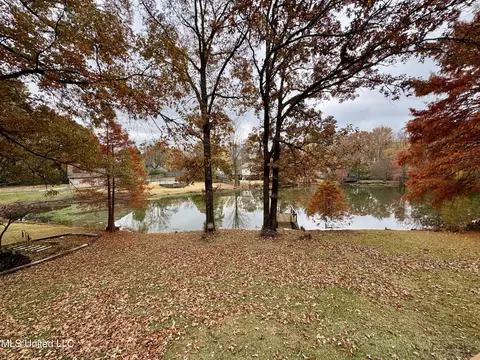 View/Area - 465 Augusta Dr, Hernando, MS 38632 photo 2 of 5