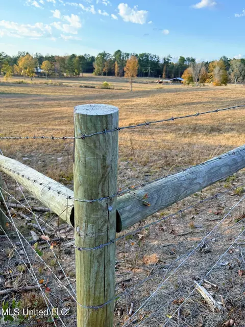 Zion Road, Walnut Grove, MS 39189 photo 39