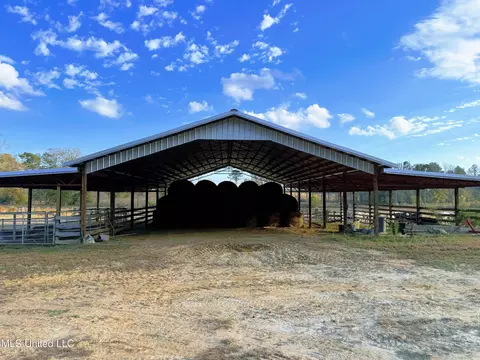Zion Road, Walnut Grove, MS 39189 photo 18