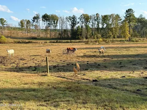 Zion Road, Walnut Grove, MS 39189 photo 3