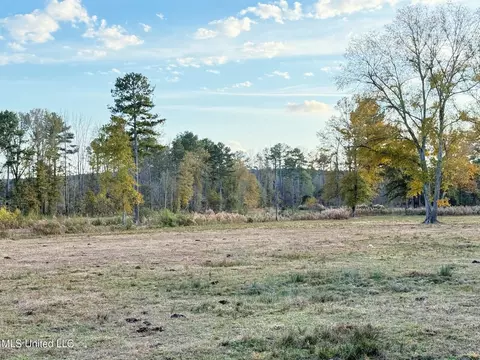 Zion Road, Walnut Grove, MS 39189 photo 50