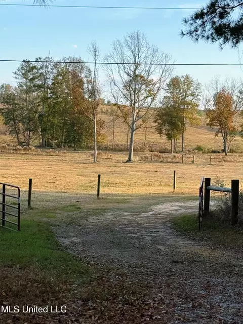 Zion Road, Walnut Grove, MS 39189 photo 48