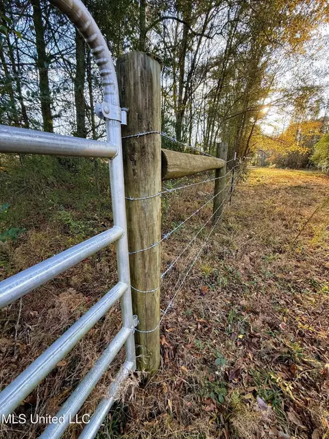 Zion Road, Walnut Grove, MS 39189 photo 29