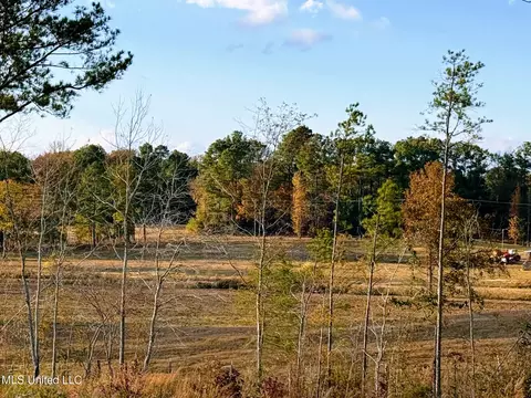 Zion Road, Walnut Grove, MS 39189 photo 33