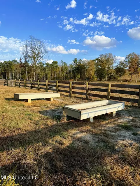 Zion Road, Walnut Grove, MS 39189 photo 16