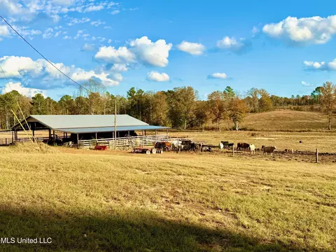 Zion Road, Walnut Grove, MS 39189