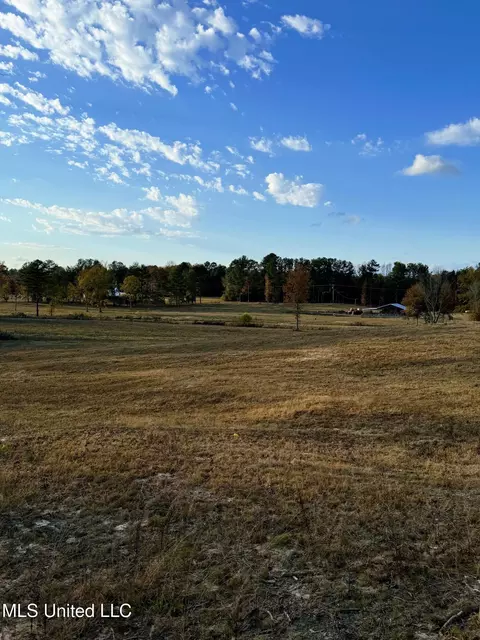 Zion Road, Walnut Grove, MS 39189 photo 37