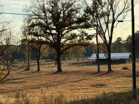 Zion Road, Walnut Grove, MS 39189 photo 45