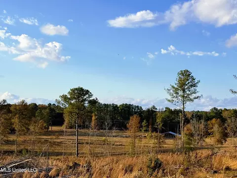 Zion Road, Walnut Grove, MS 39189 photo 32