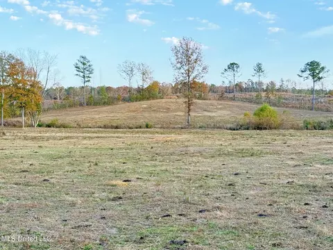 Zion Road, Walnut Grove, MS 39189 photo 51