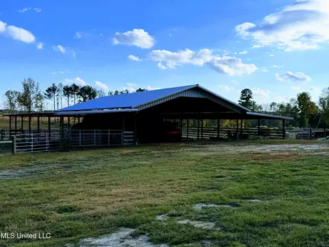 Zion Road, Walnut Grove, MS 39189 photo 11