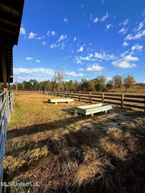 Zion Road, Walnut Grove, MS 39189 photo 17